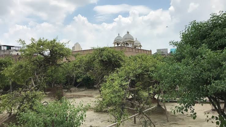 Nidhivan, Vrindavan — photo 1