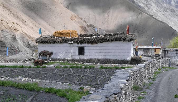 Gue Village — photo 1