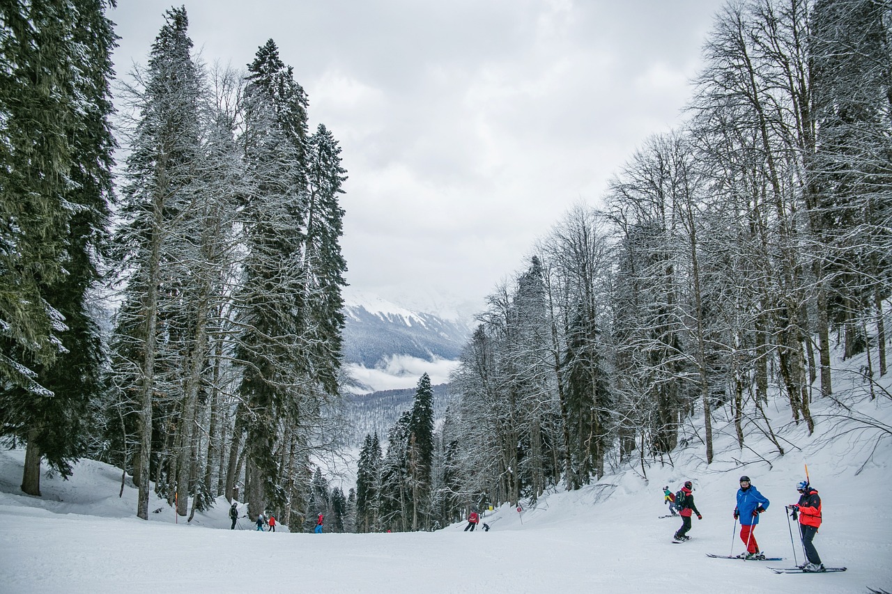 Skiing in Gulmarg — photo 1