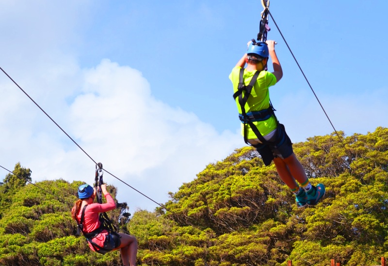 Zip Line ride in Mussoorie — photo 1