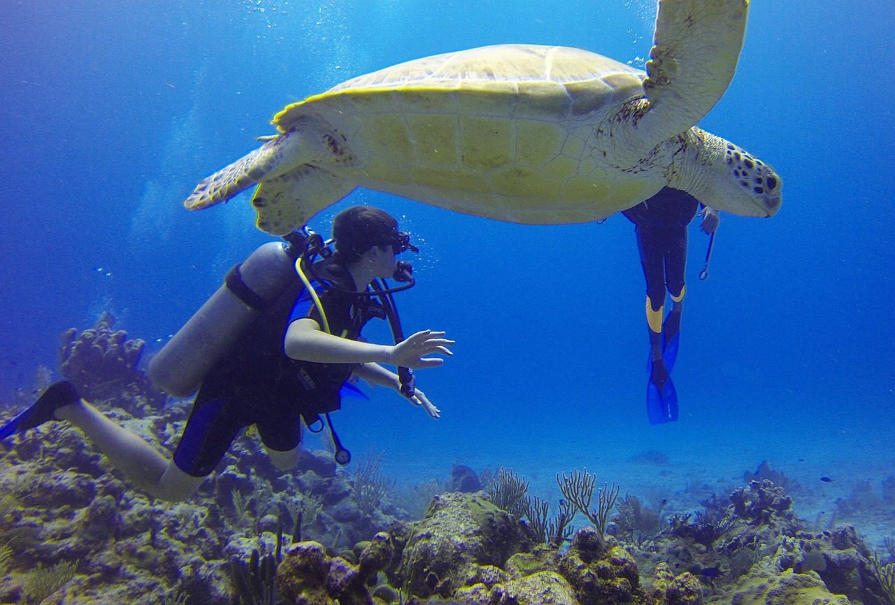 Scuba Diving in Tarkarli (Maharashtra) — photo 1