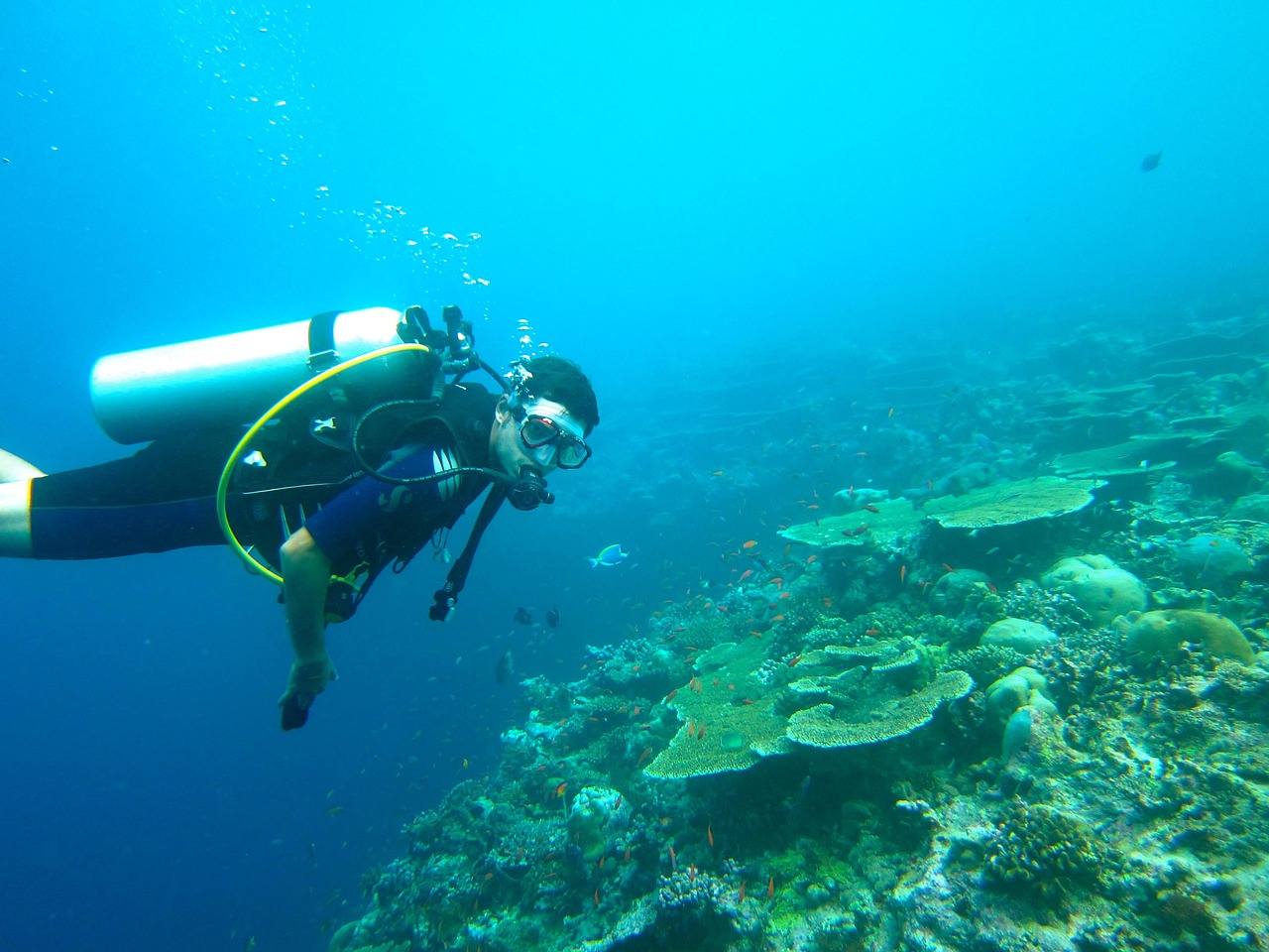 Scuba Diving in Pondicherry — photo 1